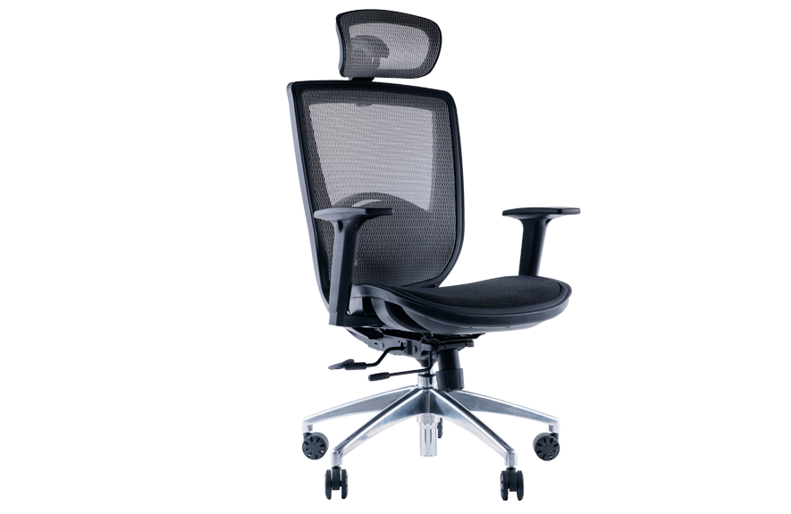 ESC人體工學椅 ( 多功能款 )